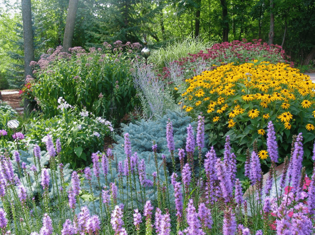 what is the most popular type of gardens
